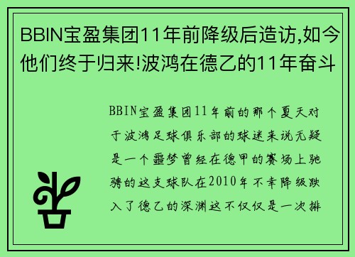 BBIN宝盈集团11年前降级后造访,如今他们终于归来!波鸿在德乙的11年奋斗史 - 副本 (2)